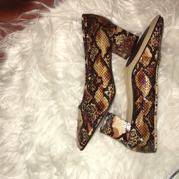 J Renée Hills - Picture 2 of 3